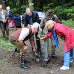 Eine Friedenslinde wird am Eingang der Burganlage gepflanzt