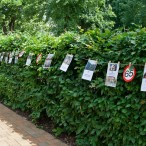 Der bebilderte Zeitstrahl über 65 Jahre Firmengeschichte eines Familienunternehmens