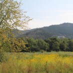 Das ehemalige Schickert-Gelände soll bald zur Ferienhaussiedlung werden